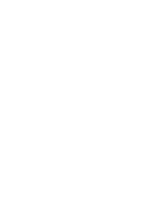 The Cyber Scheme